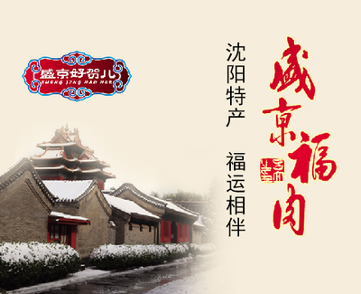 沈陽曬悅軟件 一站式網站建設與移動應用開發解決方案